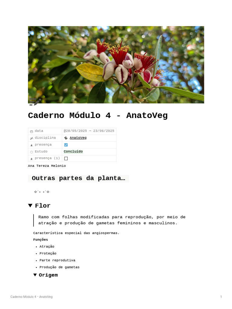 Estrutura e Função das Flores e Frutos | PDF | Semente | Morfologia vegetal