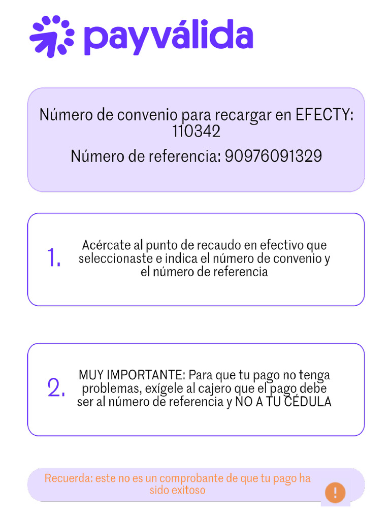 Instructivo Pago Efectivo | PDF