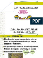 Ciclo Vital de La Familia Pilar