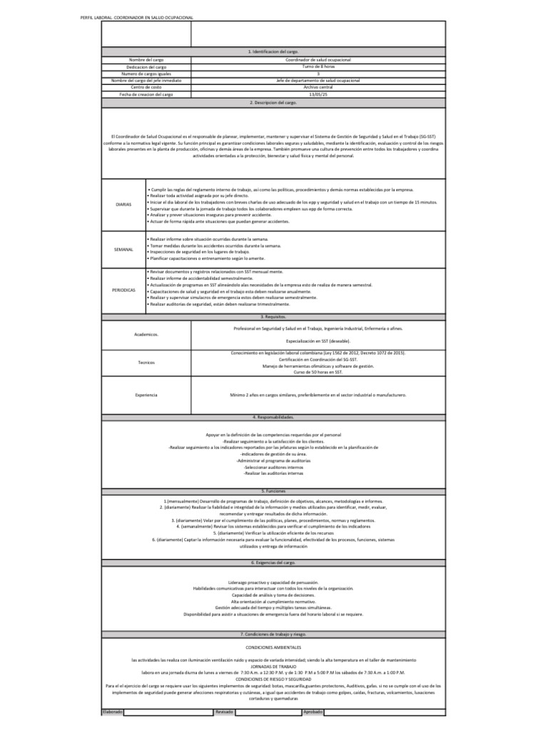 Coordinador de Salud Ocupacional: Perfil y Funciones | PDF | Seguridad ...