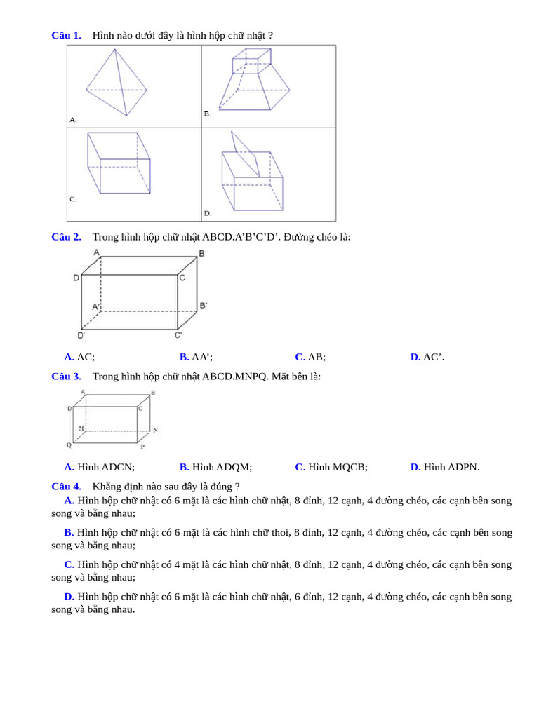 Trắc nghiệm hhcn - hlp | PDF