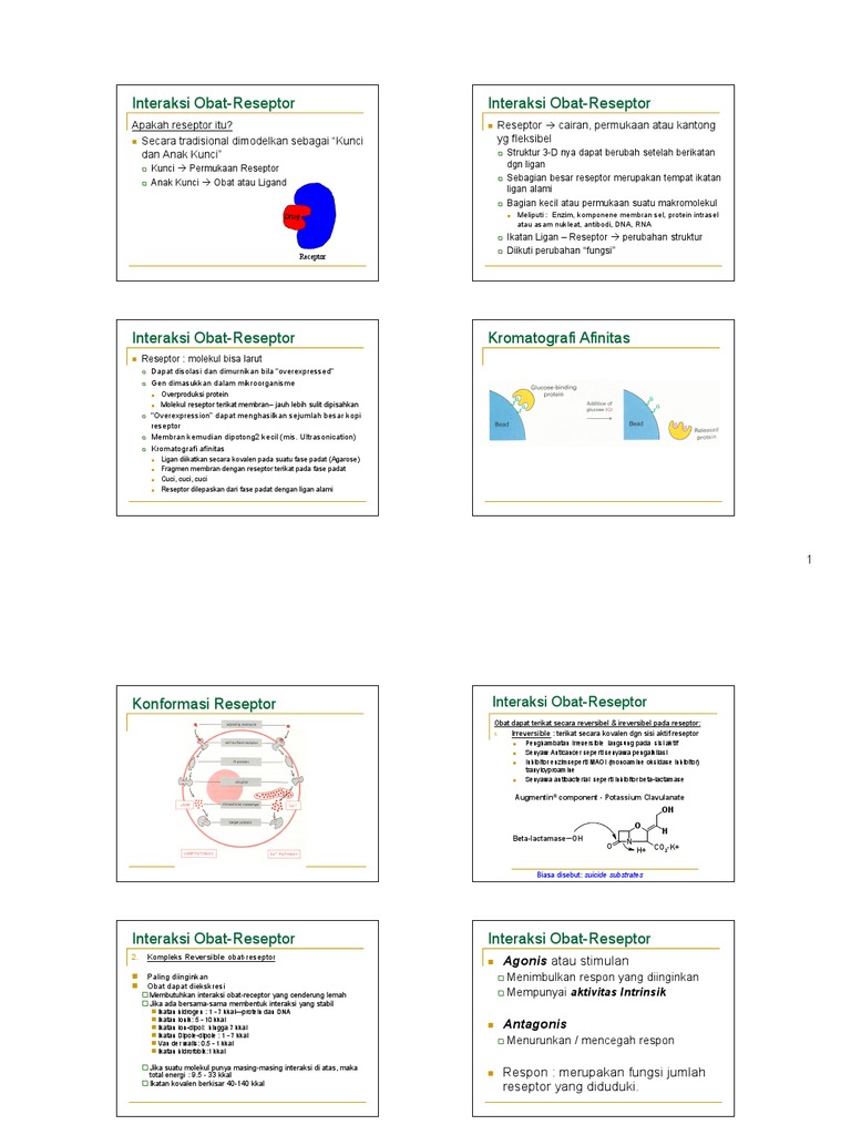4 Teori Reseptor | PDF