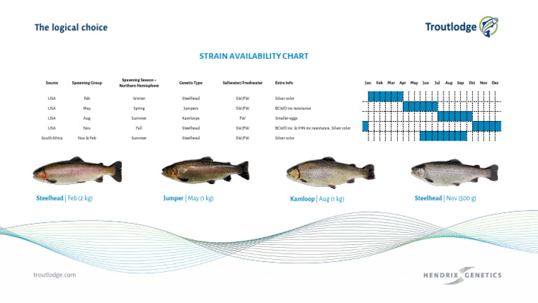 Strain Availability Chart EN | PDF