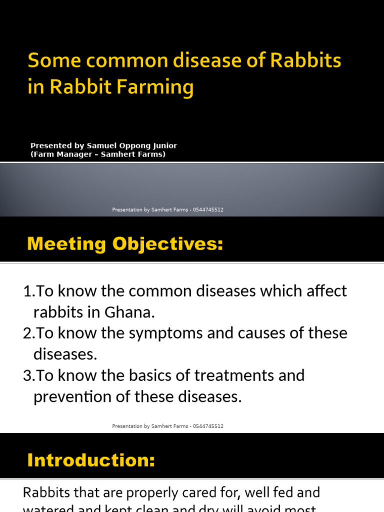 Rabbit Diseases and Medication 2024 | PDF | Diarrhea | Diseases And ...