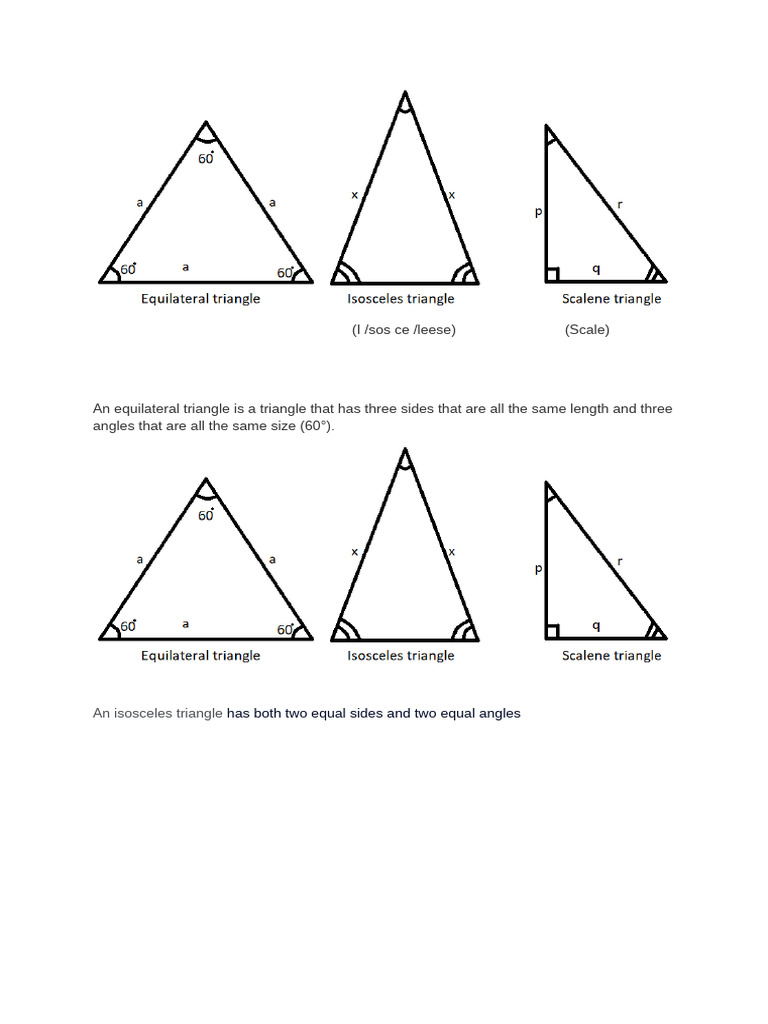 Types of Triangles Explained | PDF