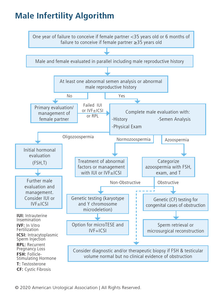 GUI-24-0075 Algorithm Male Infertility | PDF