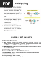 Cell Signaling - Imp