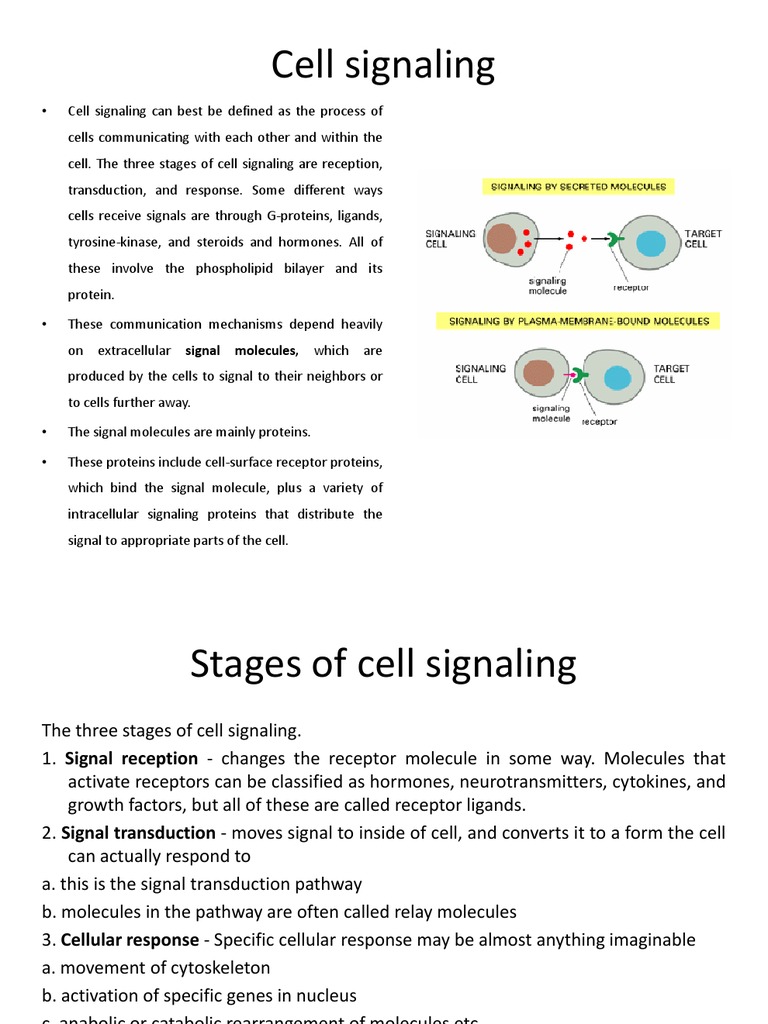 Overview of Cell Signaling Mechanisms | PDF | Cell Signaling | Hormone