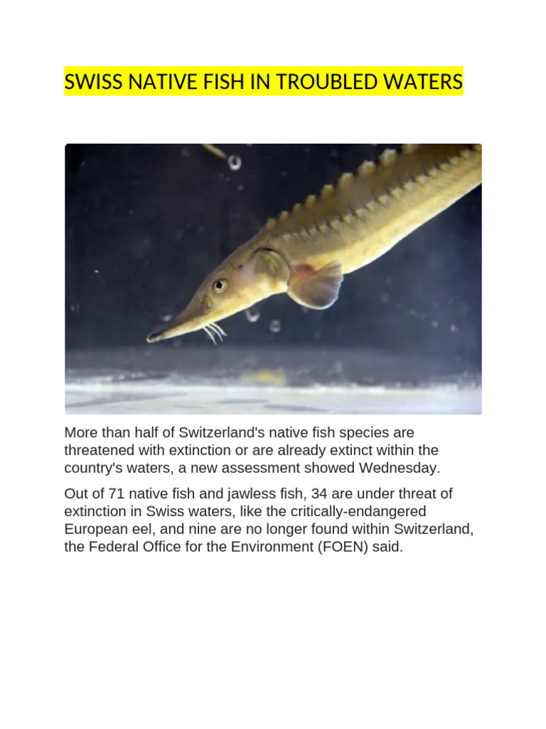Swiss Native Fish in Troubled Waters | PDF