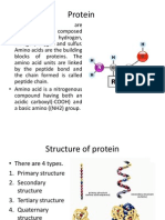 Protein