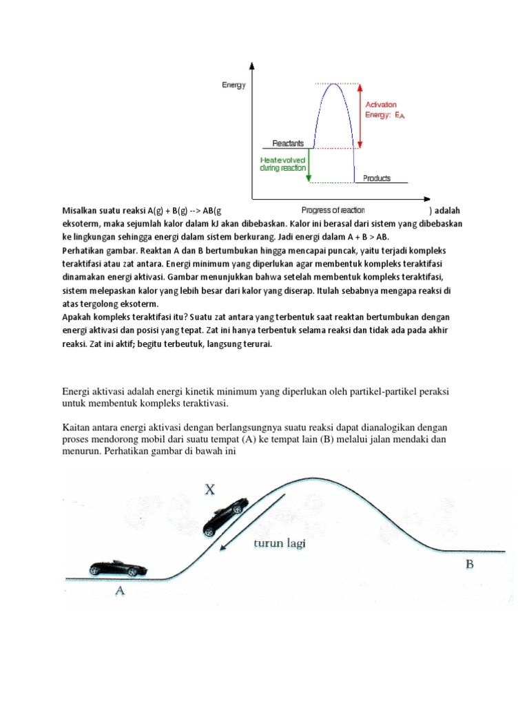 Gambar Diagram Reaksi Eksoterm Gallery - How To Guide And ... - 768 x 1024 jpeg 110kB