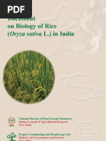 Download _download_Document on Biology of Rice by Siva Srinivas SN88537300 doc pdf