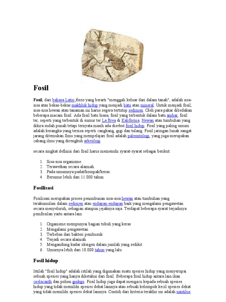 560 Gambar Fosil Hewan Dan Tumbuhan HD Terbaik
