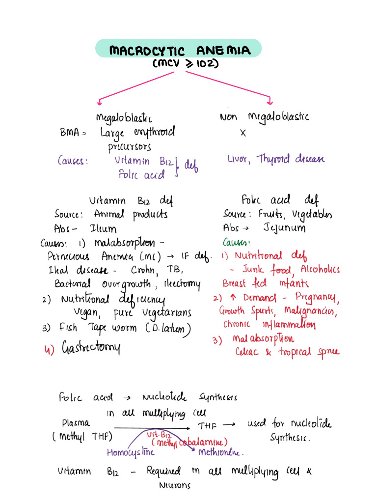 3.macro & Normocytic Anemia | PDF