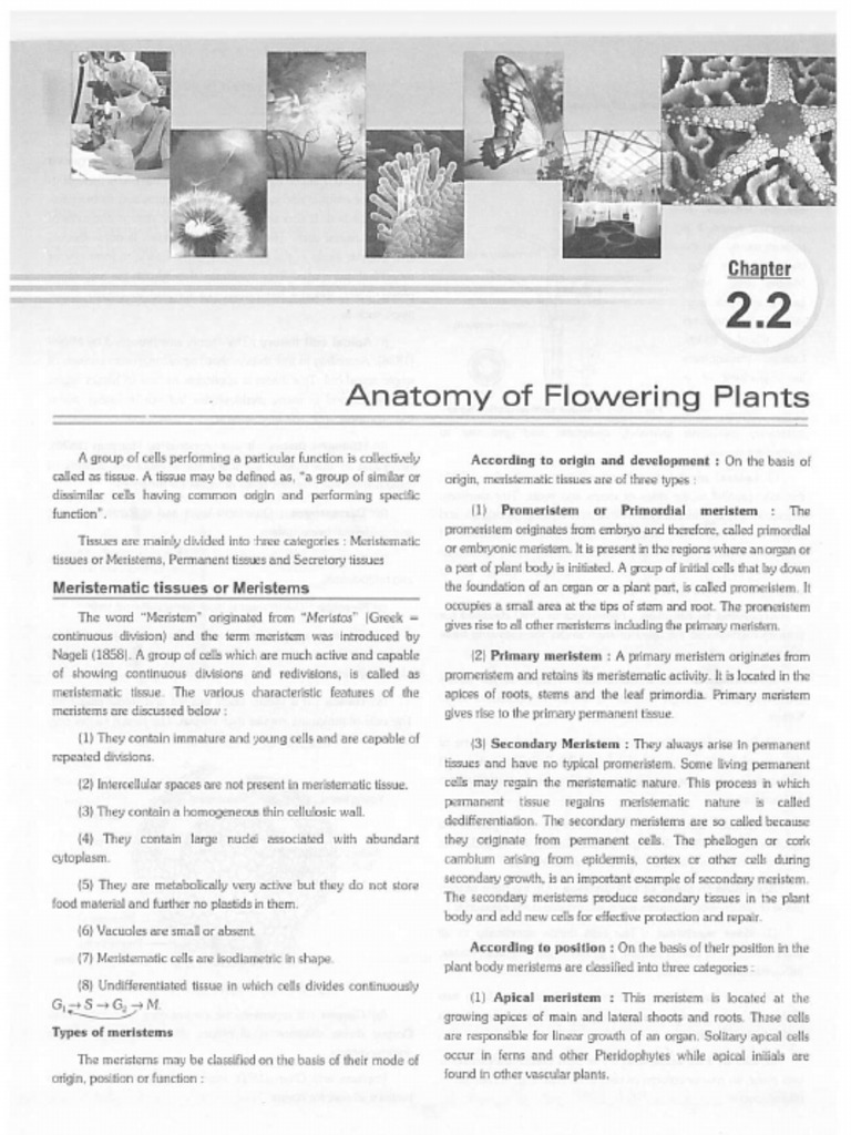 Selfstudys Com File | PDF