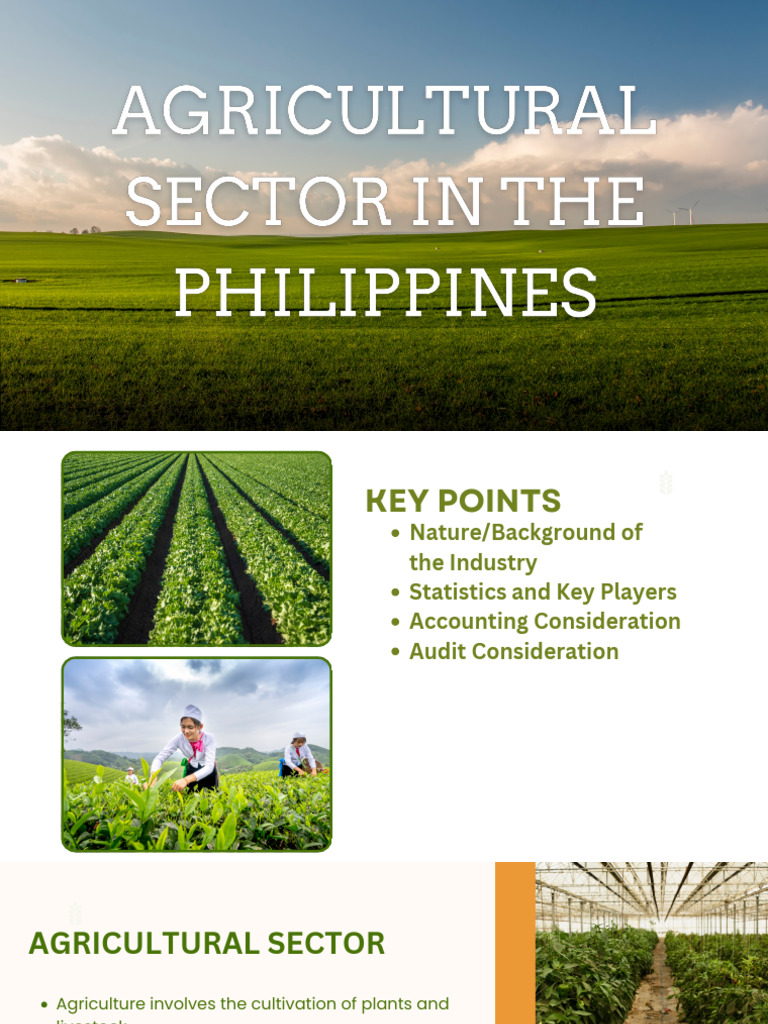Overview of Philippine Agriculture Sector | PDF | Agriculture | Food ...