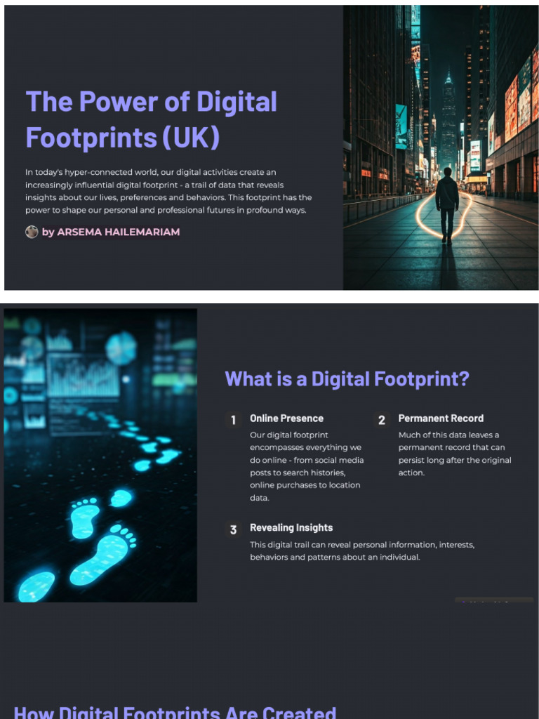 Digital Footprint | PDF