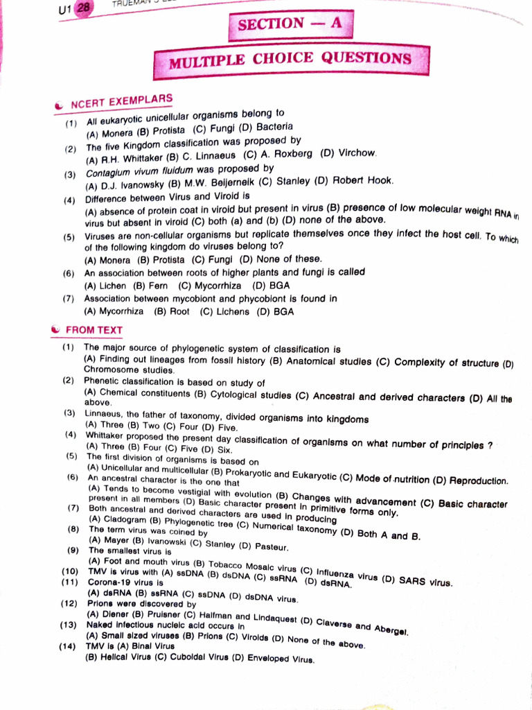 Kingdom Monera & Bio Classification | PDF | Bacteria | Cyanobacteria