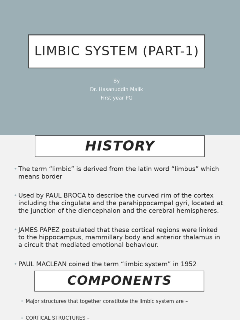 Limbic System (Part-1) | PDF | Hippocampus Anatomy | Hippocampus