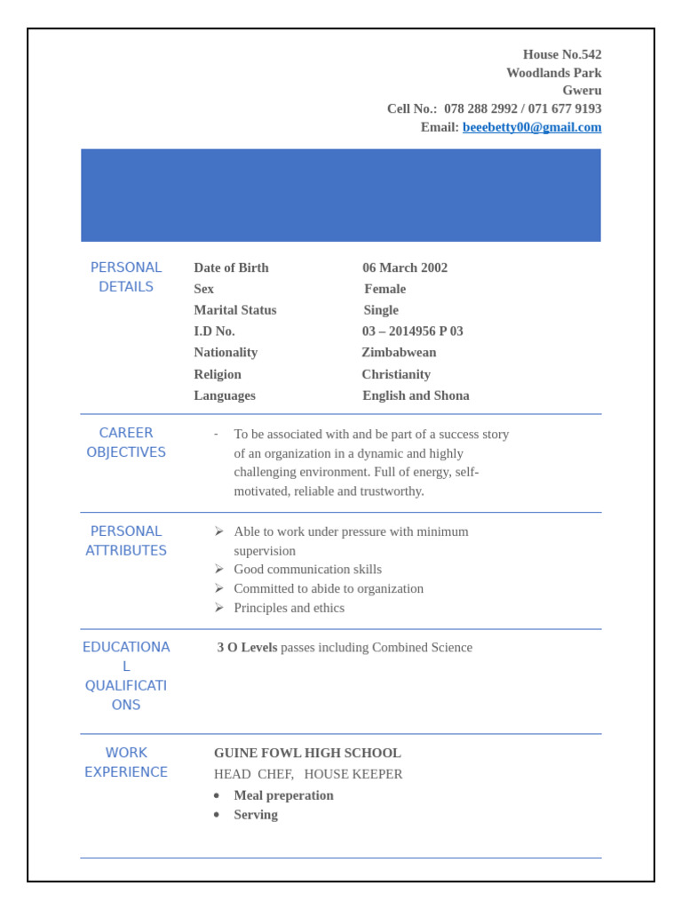 Zimbabwean Female Job Seeker Resume | PDF