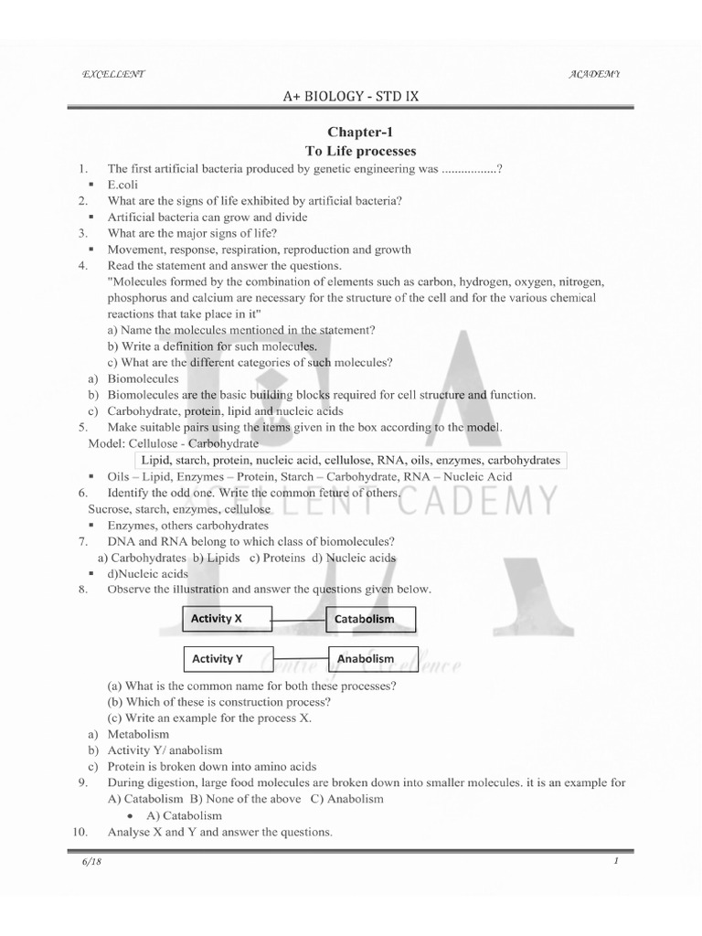 Bio 1 | PDF