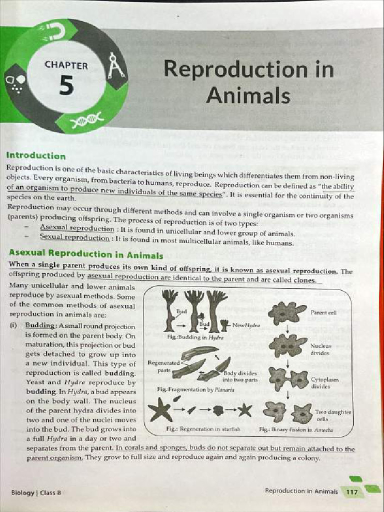 Bio Class 8 IMP-60 | PDF