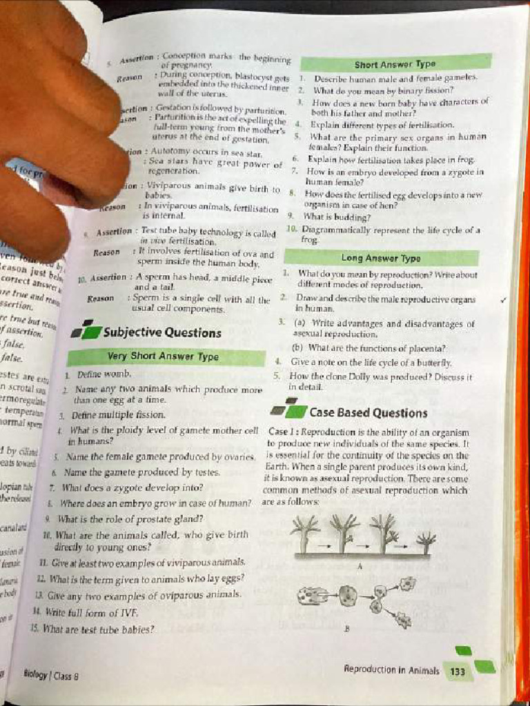 Bio Class 8 IMP-67 | PDF