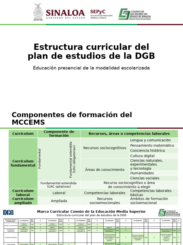 Estructura Curricular DGB Educación Media | PDF | Plan de estudios ...
