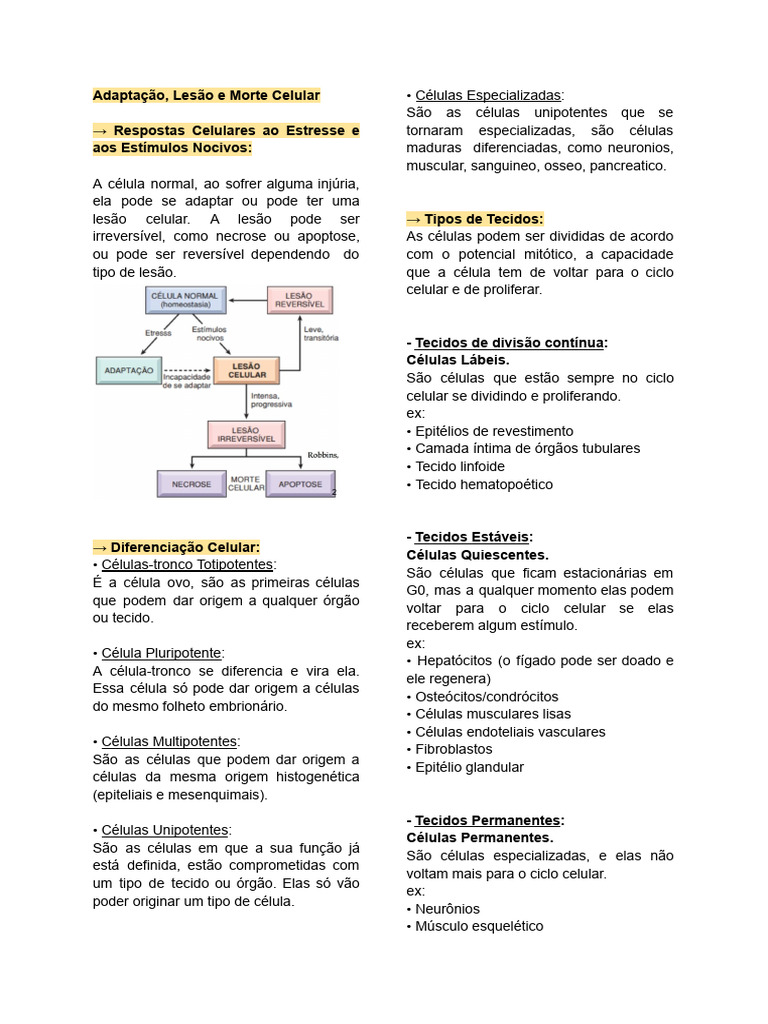 Lesão e Adaptação Celular: Tipos e Mecanismos | PDF | Necrose | Apoptose