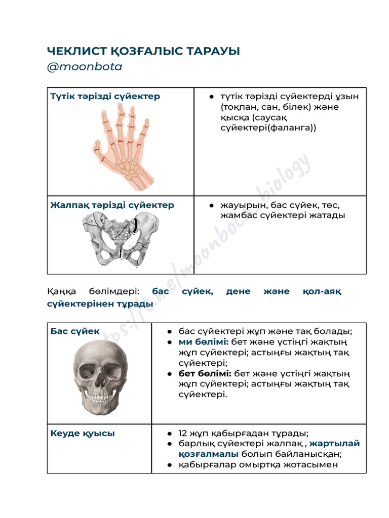 Бесінші элемент фильмінің порно пародиясын қараңыз