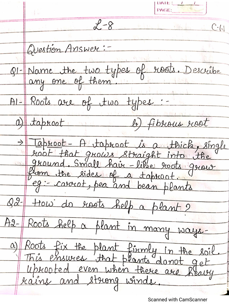 Classwork | PDF