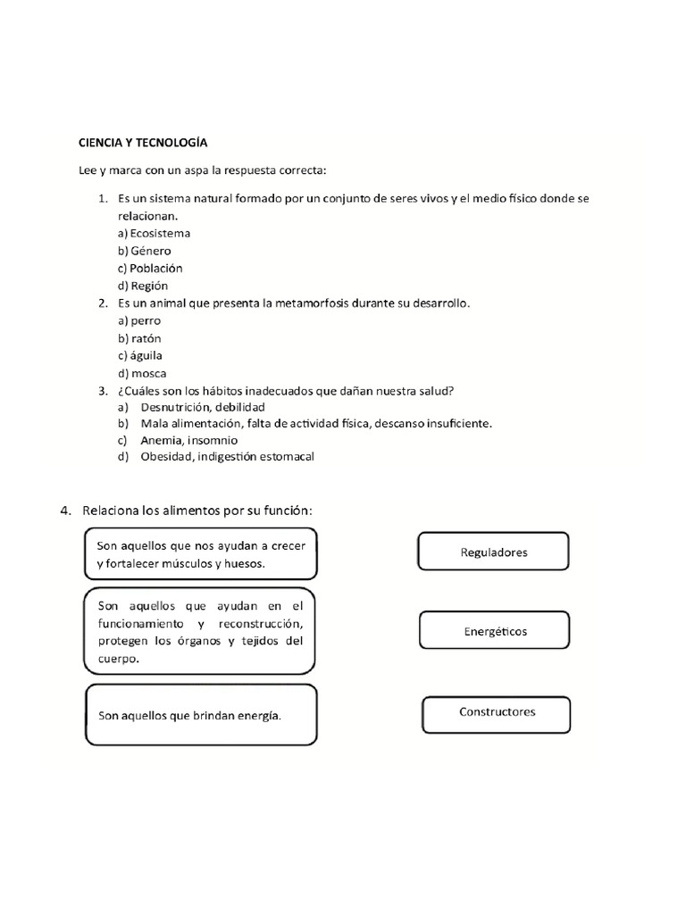 Prueba Ece Ciencia y Tecnología Sexto Grado | PDF