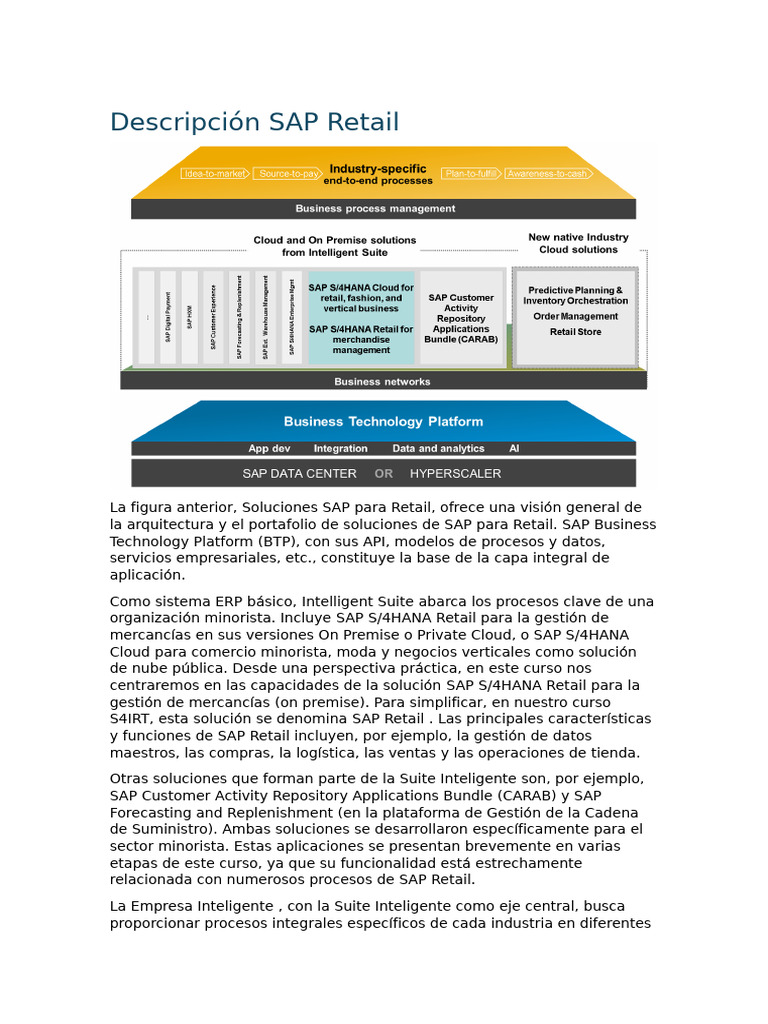 Soluciones SAP para Retail y Gestión de Mercancías | PDF | Al por menor ...