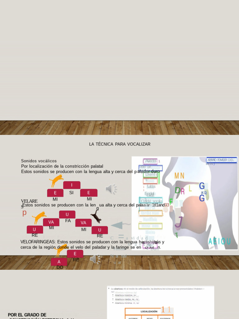 Técnica de Vocalización y Articulación | PDF | Fonética | Voz humana