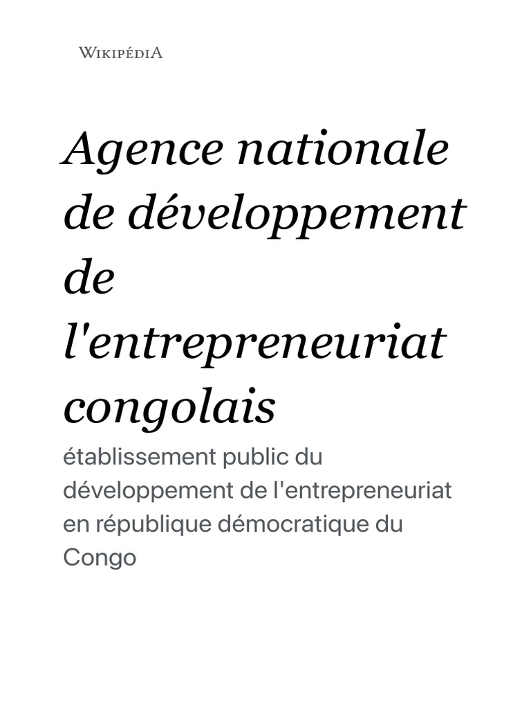 Promotion de l'entrepreneuriat en RDC | PDF | Entrepreneuriat | Business