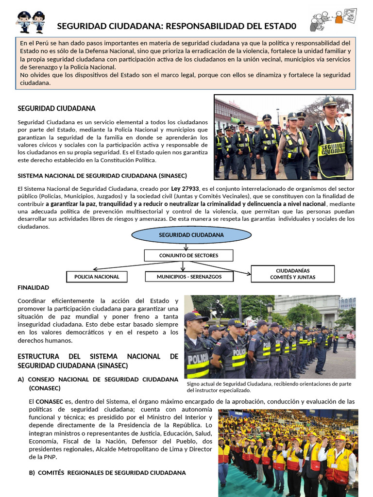 Seguridad Ciudadana y su Estructura Estatal | PDF | Valores | Alcalde