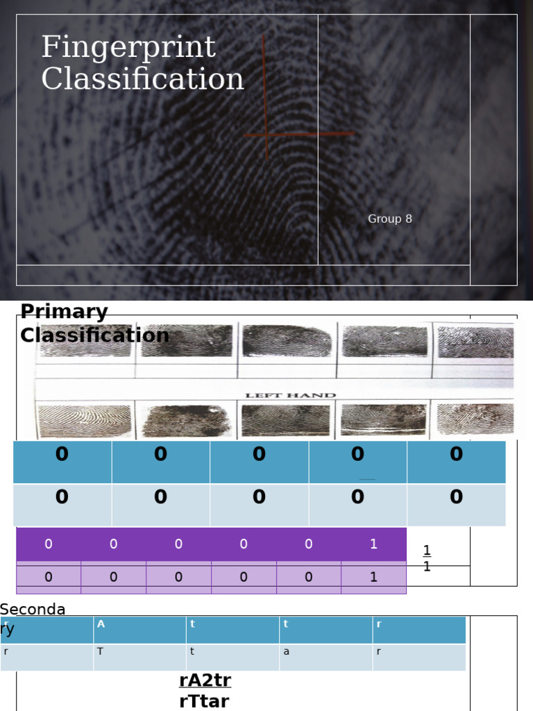 Fingerprint Classification | PDF