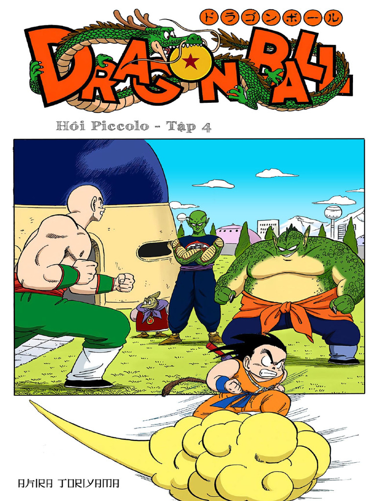 Piccolo 4 | PDF