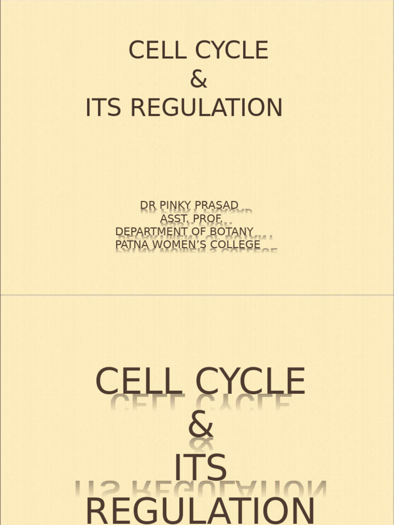 Cell Cycle Its Regulation | PDF | Cell Cycle | Mitosis