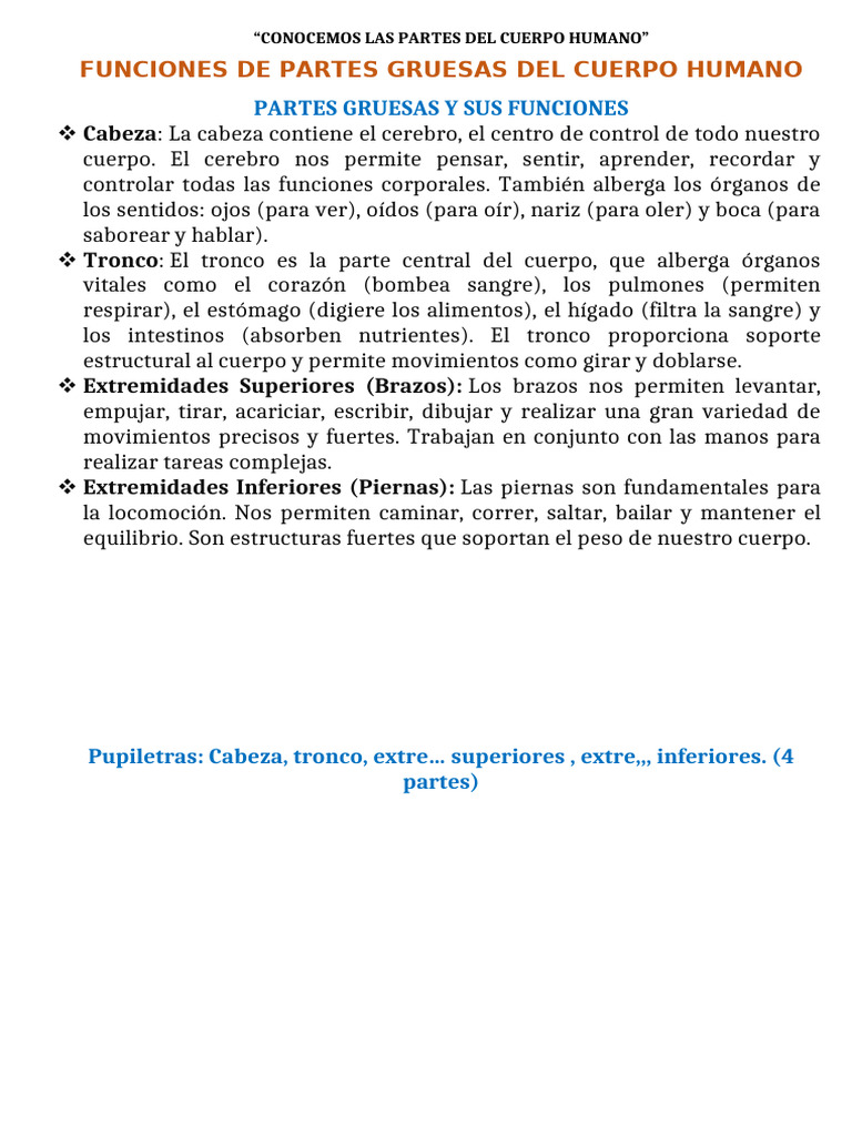 Partes del Cuerpo Humano y Funciones | PDF | Cuerpo humano | Mano