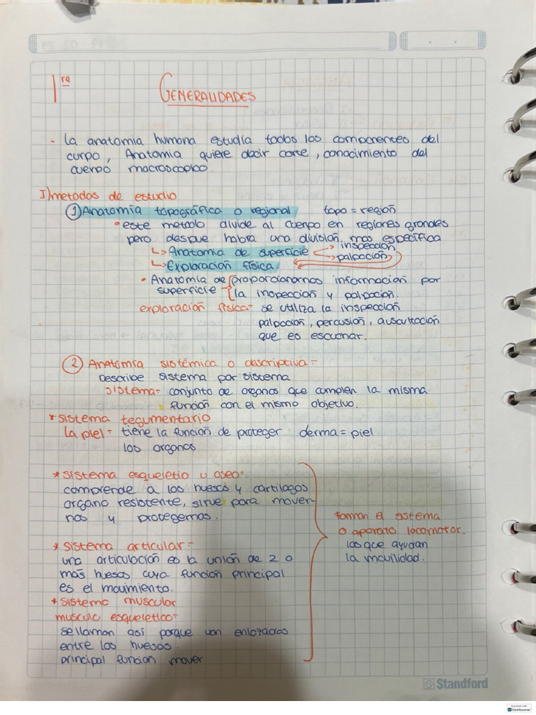 Anatomia Parte 1 de 8 | PDF