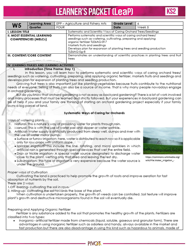 Q4 Elem AFA 6 Week5 | PDF | Soil | Fertilizer