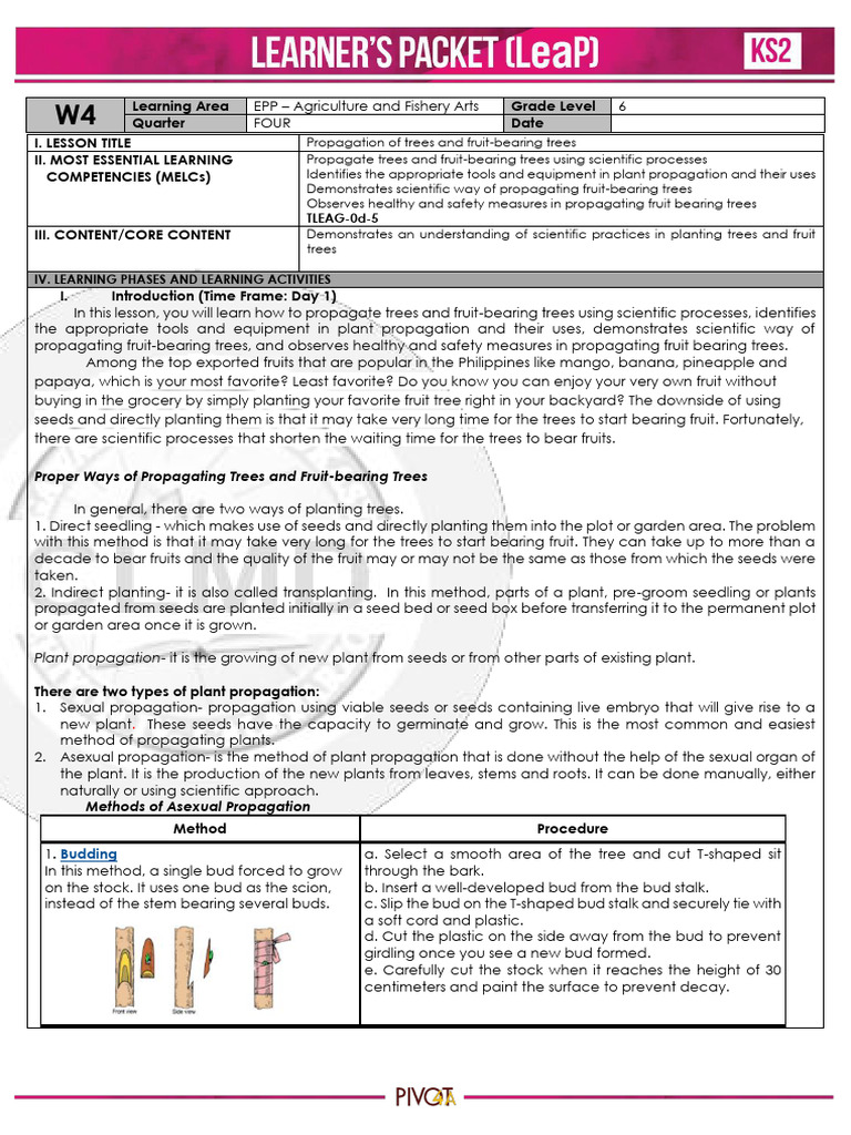 Q4 Elem AFA 6 Week4 | PDF | Grafting | Seed