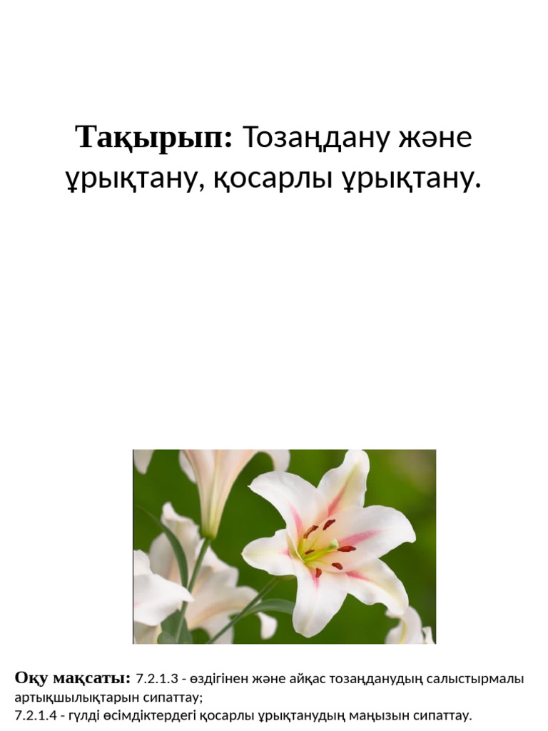 ICQ арқылы виртуалды секс мысалдары