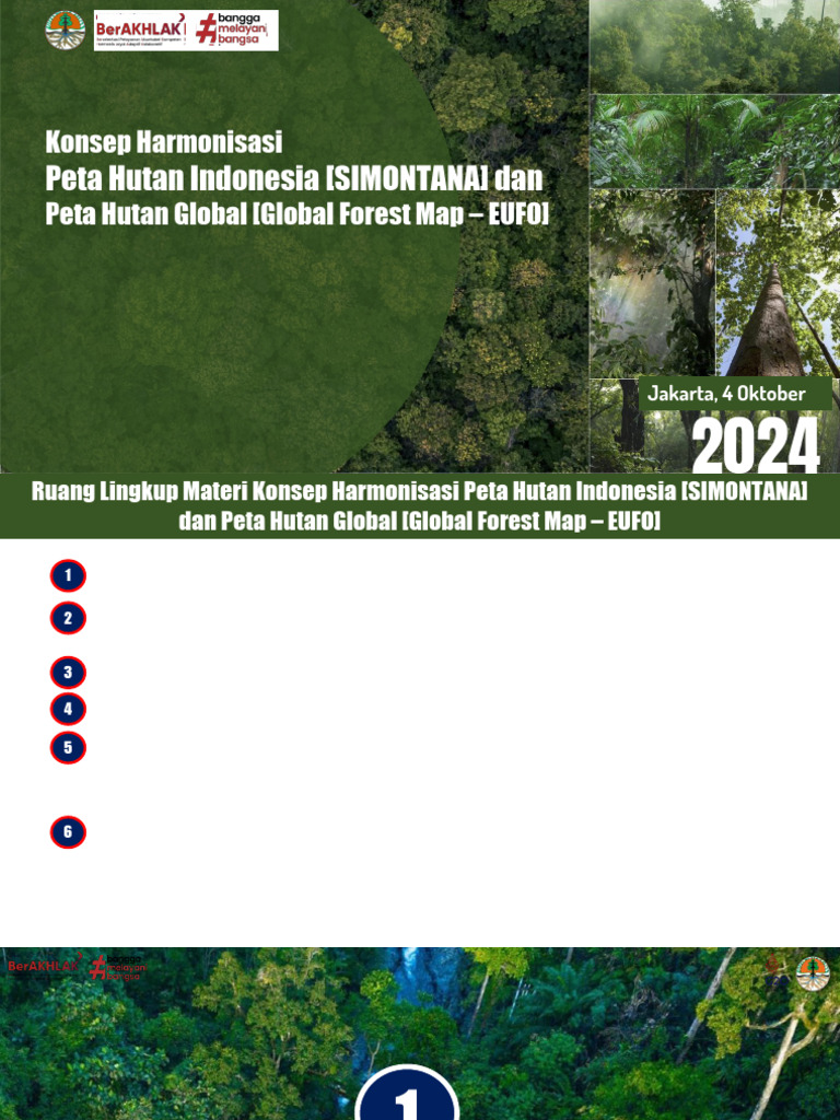 Harmonisasi Peta Hutan Indonesia dan Global | PDF