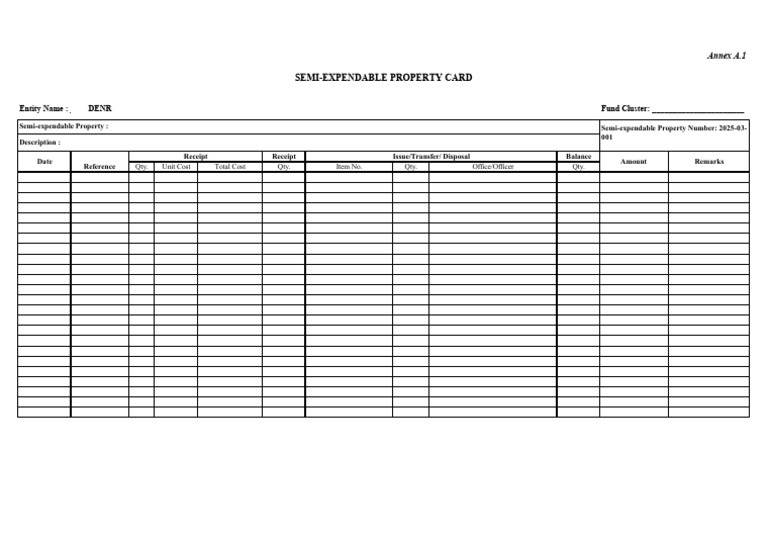 Semi-Expendable Property Card Sample | PDF