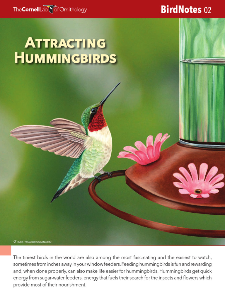 BirdNotes02 Attracting Hummingbirds | PDF | Zoology