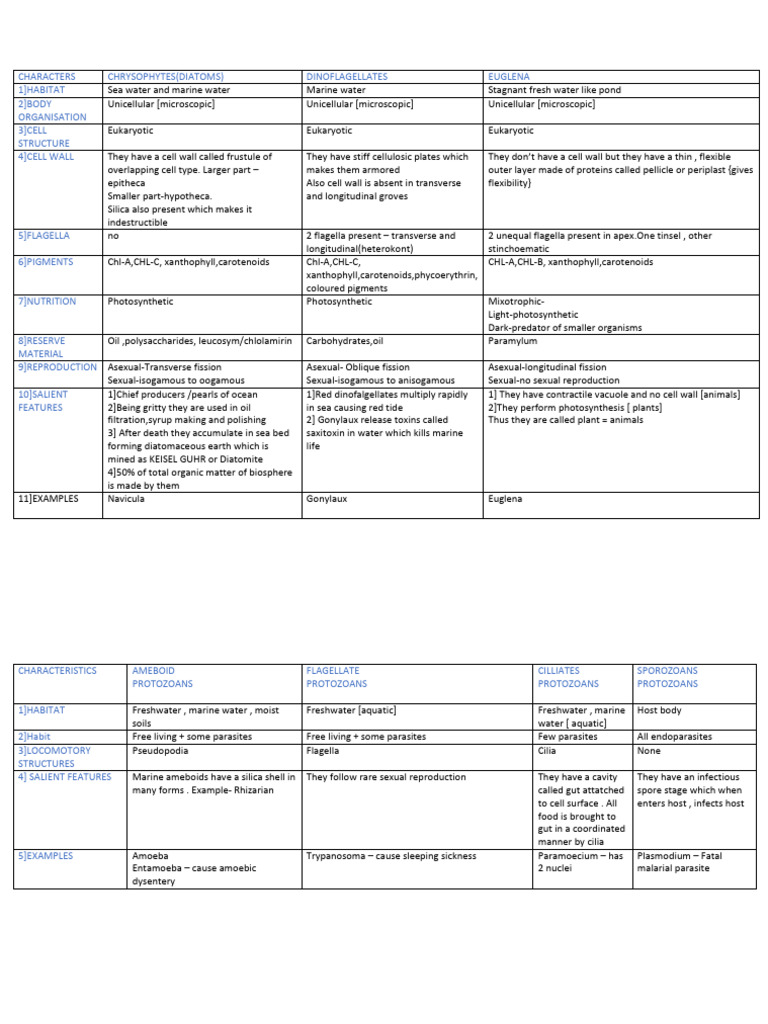 Characteristics of Protists and Fungi | PDF | Cell Wall | Protozoa