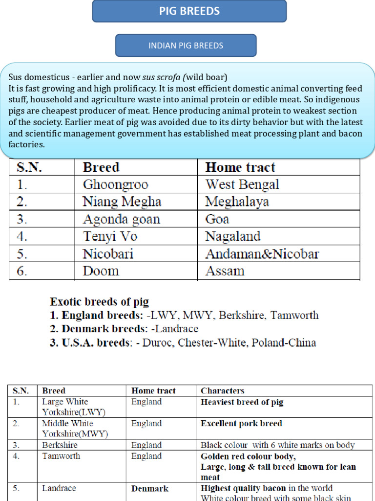 10 Pig and Horse Breeds Practical-Pages-21-23 | PDF