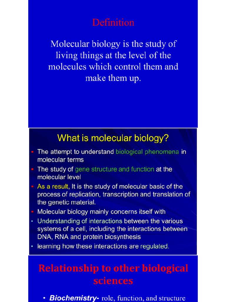 Intro To Molecular Bio | PDF